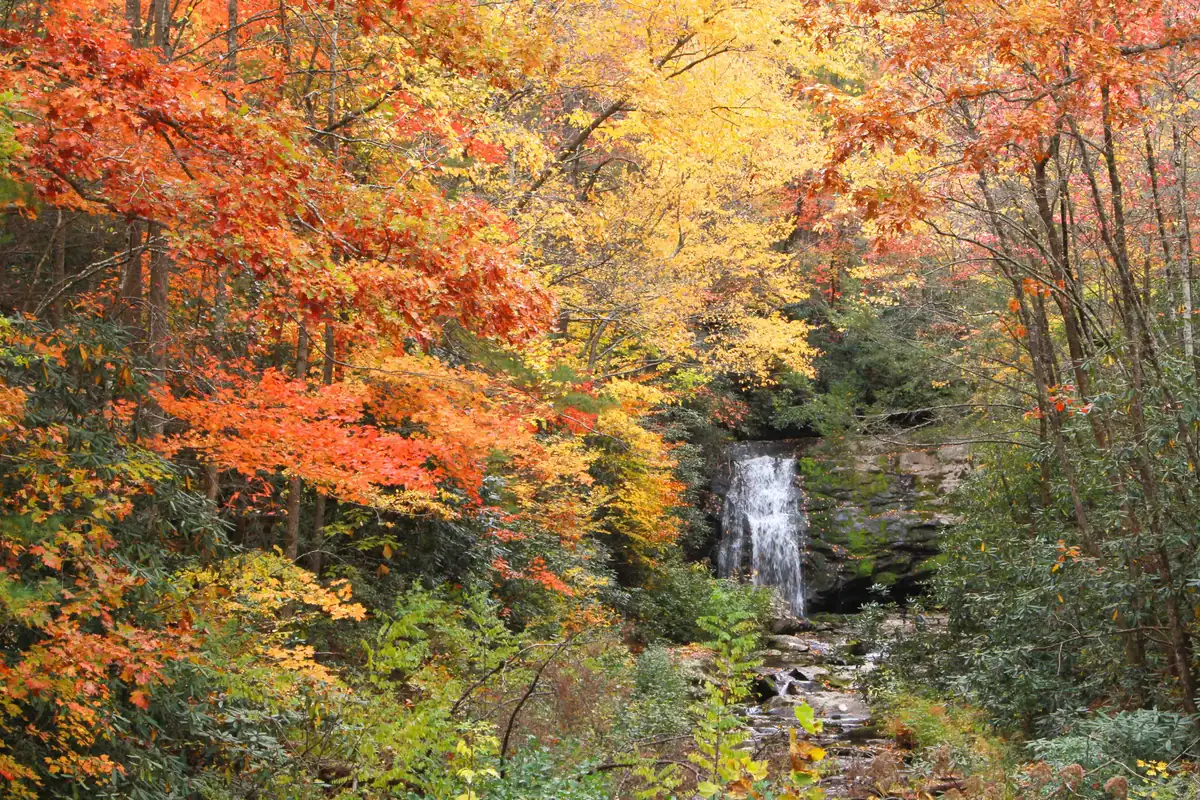 Meigs Falls spilling over a rock ledge, framed by yellow and orange leaves