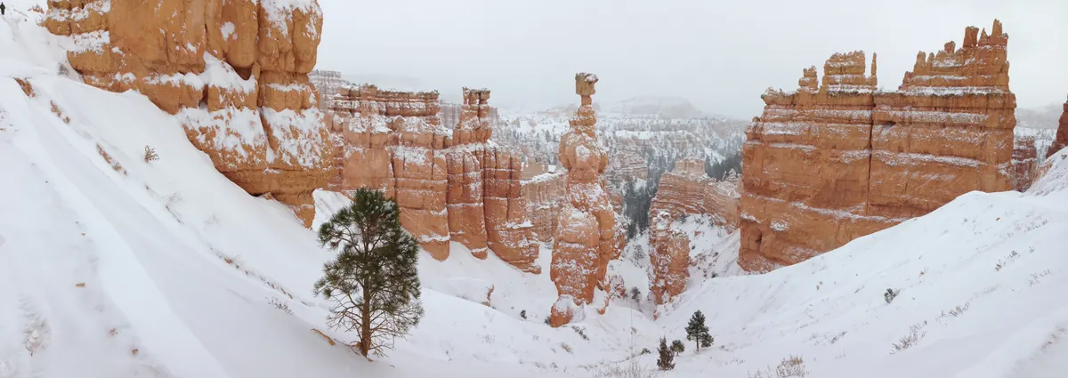 Orange hoodoos and fins, including the tall pillar of Thor's Hammer, rising from deep snow at Bryce Canyon under a gray sky