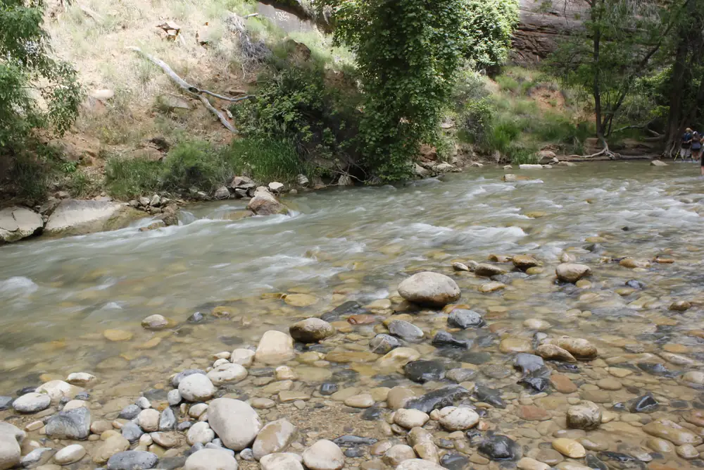 A shallow stream flowing out of a narrow sandstone canyon between steep walls