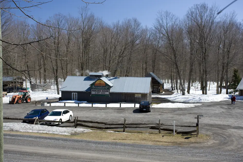 A sugarhouse with a steaming roof surrounded by bare trees and patches of snow, with cars parked in front