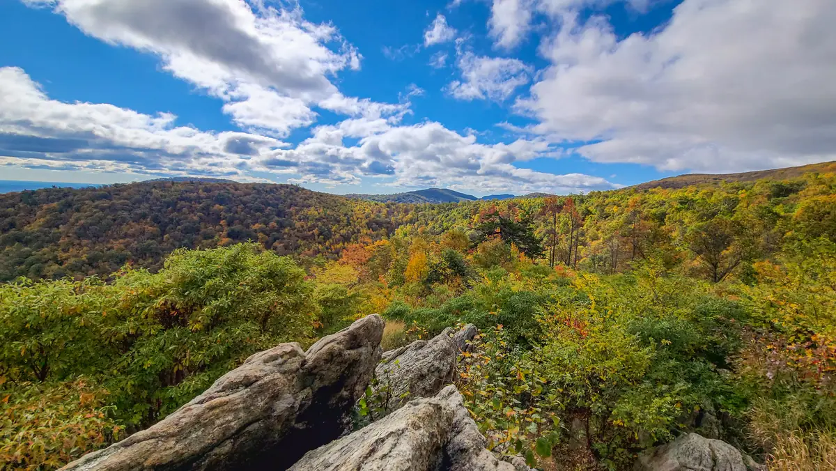 View from a Shenandoah National Park overlook in the Central District over forested slopes in orange and yellow fall color