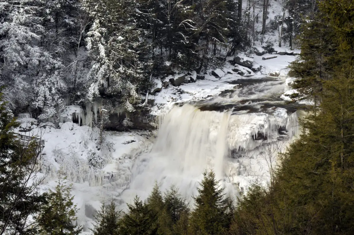 A dark stream winding between snow-covered banks and snowy trees in a mountain forest.
