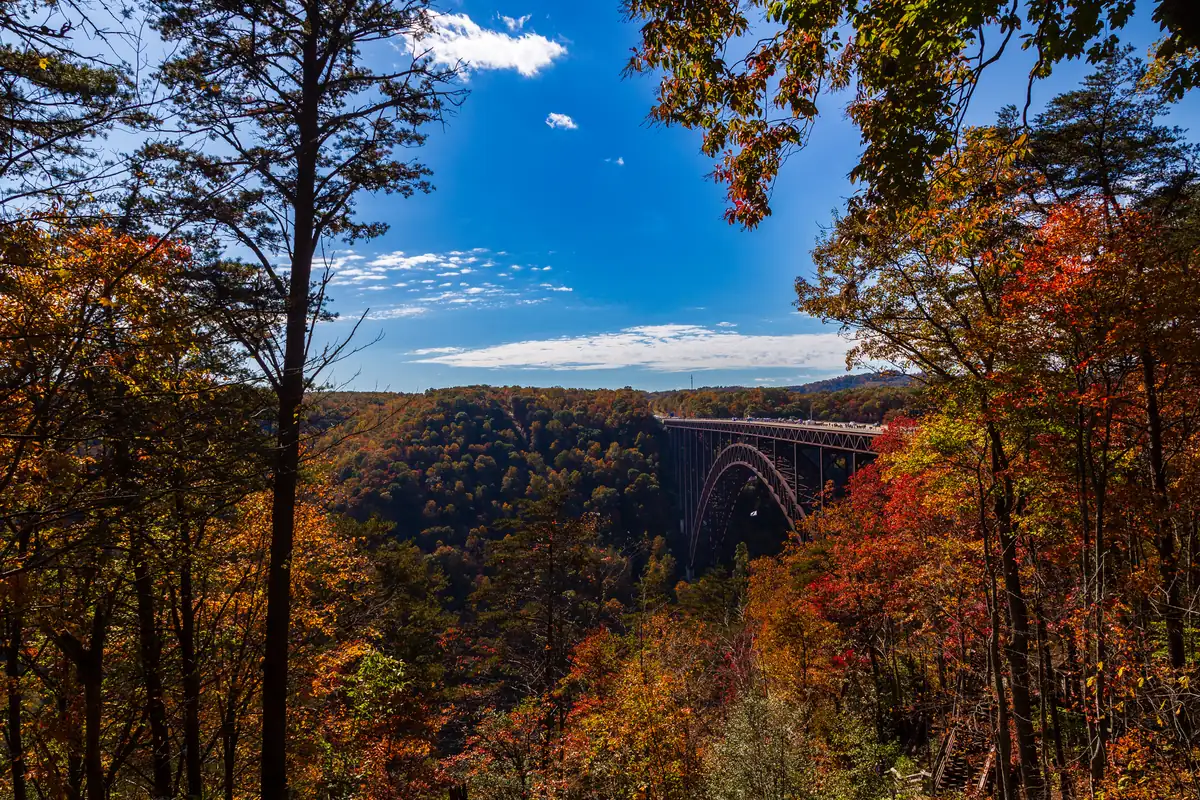 A steel arch bridge spanning a deep forested gorge, seen between trees in red, orange and yellow autumn leaves.