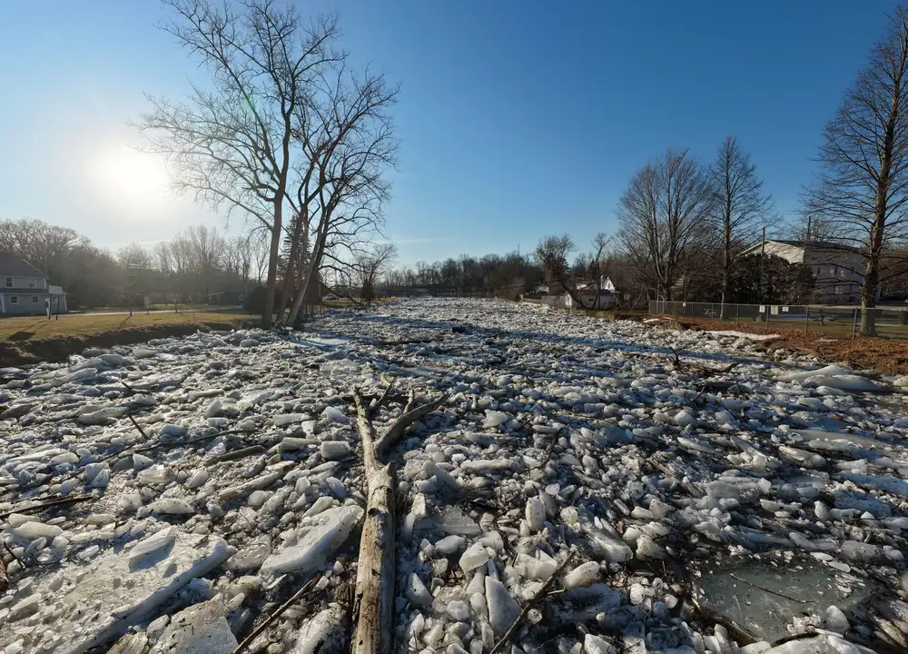 A river channel filled with broken slabs of ice in a spring ice jam, with bare trees and houses along the bank on a sunny day