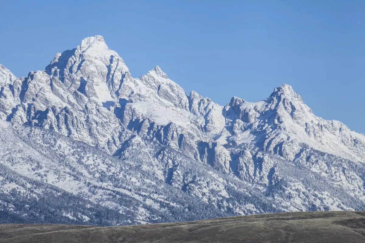 The jagged, snow-covered peaks of the Teton Range under a clear blue sky, rising behind a low brown ridge