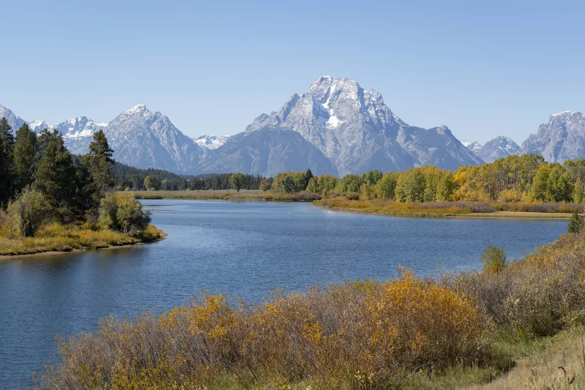 The Snake River at Oxbow Bend in Grand Teton National Park, with yellow willows and aspens on the banks and snow-streaked Mount Moran behind