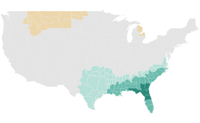 NOAA Climate Prediction Center precipitation outlook for NDJ 2023-24, redrawn by division