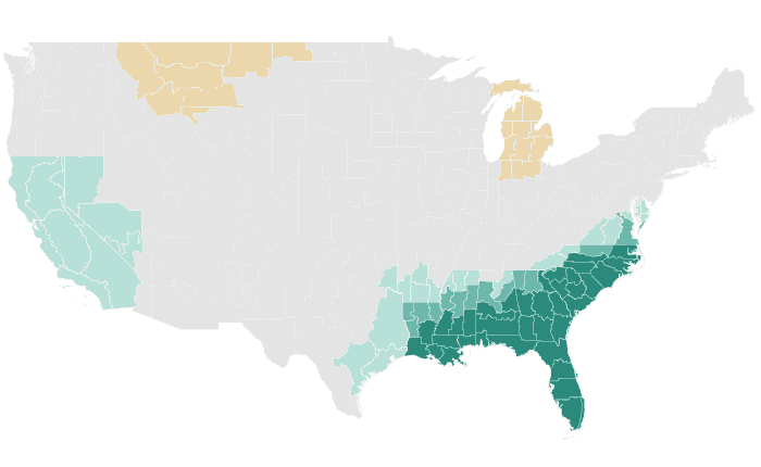 NOAA Climate Prediction Center precipitation outlook for DJF 2023-24, redrawn by division