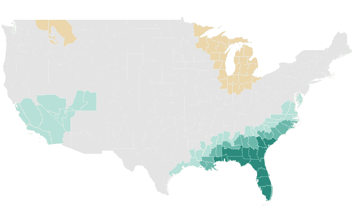 NOAA Climate Prediction Center precipitation outlook for JFM 2024, redrawn by division