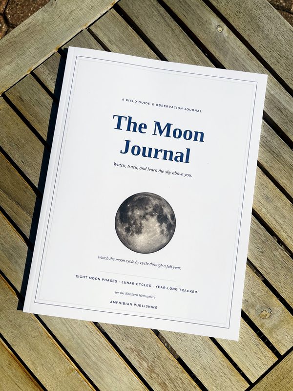 The Moon Journal paperback, front cover, on sunlit wood slats