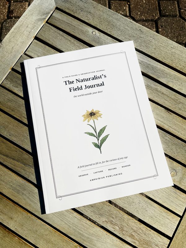 The Naturalist&rsquo;s Field Journal paperback, front cover, on sunlit wood slats